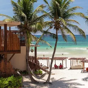 La Zebra A Colibri Boutique Tulum